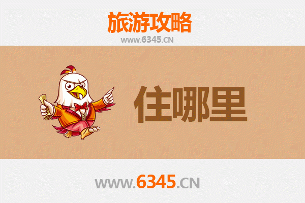 玉树杂多秘境民宿体验攻略：高原风情与生态之旅